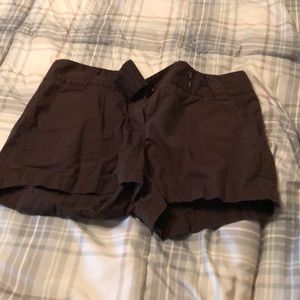 J crew shorts